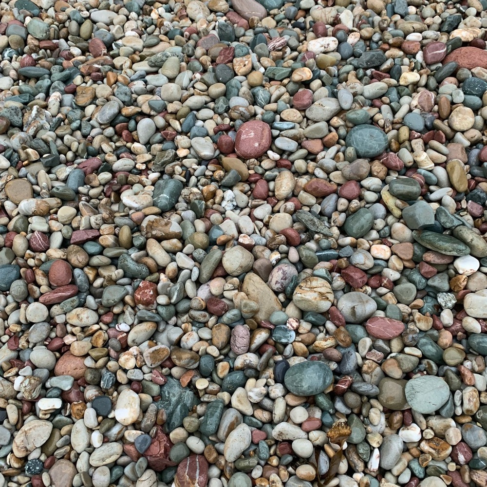 Meet your Posher, Katrina